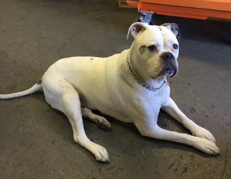 Max